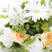 ヒメ日記 2025/03/28 02:41 投稿 新人・雨依(うい) グランドオペラ福岡