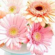 ヒメ日記 2025/05/09 23:15 投稿 新人・雨依(うい) グランドオペラ福岡