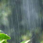 ヒメ日記 2025/06/11 07:31 投稿 新人・雨依(うい) グランドオペラ福岡