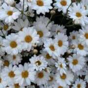 ヒメ日記 2025/06/26 21:41 投稿 新人・雨依(うい) グランドオペラ福岡