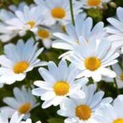 ヒメ日記 2025/07/22 19:56 投稿 新人・雨依(うい) グランドオペラ福岡