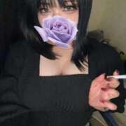 ヒメ日記 2024/12/27 17:20 投稿 やまと My Essentials