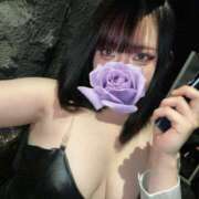 ヒメ日記 2025/01/09 17:50 投稿 やまと My Essentials