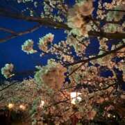 ヒメ日記 2025/04/01 00:45 投稿 まりか 佐賀人妻デリヘル 「デリ夫人」