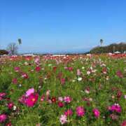 ヒメ日記 2025/10/12 23:17 投稿 まりか 佐賀人妻デリヘル 「デリ夫人」