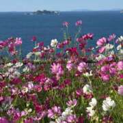 ヒメ日記 2025/10/24 22:57 投稿 まりか 佐賀人妻デリヘル 「デリ夫人」