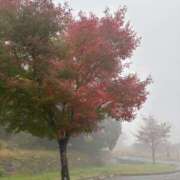 ヒメ日記 2025/11/10 21:02 投稿 まりか 佐賀人妻デリヘル 「デリ夫人」