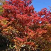 ヒメ日記 2025/11/22 09:18 投稿 まりか 佐賀人妻デリヘル 「デリ夫人」