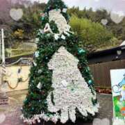 ヒメ日記 2025/12/24 16:11 投稿 まりか 佐賀人妻デリヘル 「デリ夫人」