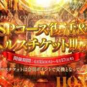 ヒメ日記 2025/04/16 15:38 投稿 こはく 三つ乱本館
