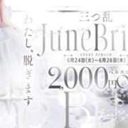 ヒメ日記 2025/06/26 11:07 投稿 こはく 三つ乱本館