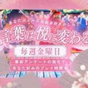 ヒメ日記 2025/08/29 11:07 投稿 こはく 三つ乱本館