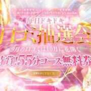 ヒメ日記 2025/09/10 13:17 投稿 こはく 三つ乱本館