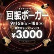 ヒメ日記 2025/09/17 12:07 投稿 こはく 三つ乱本館