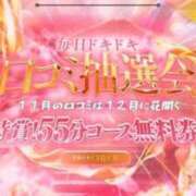 ヒメ日記 2025/11/20 13:19 投稿 こはく 三つ乱本館
