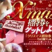 ヒメ日記 2025/12/02 08:47 投稿 こはく 三つ乱本館