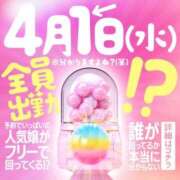 ヒメ日記 2026/03/26 12:47 投稿 こはく 三つ乱本館