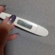 ヒメ日記 2025/01/28 11:37 投稿 リイサ(奥方) 奥様幕府