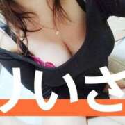 ヒメ日記 2025/02/05 04:08 投稿 リイサ(奥方) 奥様幕府