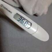 ヒメ日記 2025/02/28 12:27 投稿 リイサ(奥方) 奥様幕府