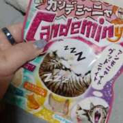 ヒメ日記 2025/03/05 11:28 投稿 リイサ(奥方) 奥様幕府