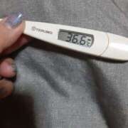 ヒメ日記 2025/03/08 12:57 投稿 リイサ(奥方) 奥様幕府