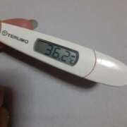 ヒメ日記 2025/03/26 11:57 投稿 リイサ(奥方) 奥様幕府