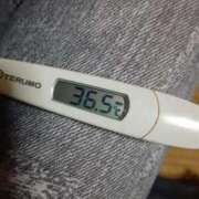 ヒメ日記 2025/03/29 11:57 投稿 リイサ(奥方) 奥様幕府