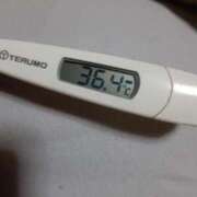 ヒメ日記 2025/03/31 14:00 投稿 リイサ(奥方) 奥様幕府