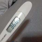 ヒメ日記 2025/04/29 11:57 投稿 リイサ(奥方) 奥様幕府