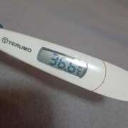 ヒメ日記 2025/05/03 12:08 投稿 リイサ(奥方) 奥様幕府