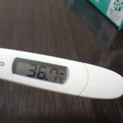 ヒメ日記 2025/08/10 11:07 投稿 リイサ(奥方) 奥様幕府