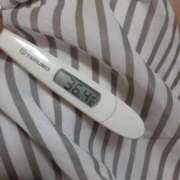 ヒメ日記 2025/08/11 11:57 投稿 リイサ(奥方) 奥様幕府