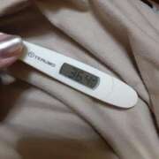 ヒメ日記 2025/08/22 12:47 投稿 リイサ(奥方) 奥様幕府