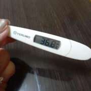 ヒメ日記 2025/08/29 13:27 投稿 リイサ(奥方) 奥様幕府