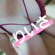 ヒメ日記 2025/10/04 01:47 投稿 リイサ(奥方) 奥様幕府