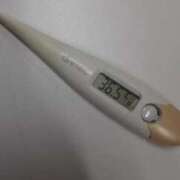 ヒメ日記 2025/11/13 12:57 投稿 リイサ(奥方) 奥様幕府