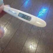 ヒメ日記 2025/11/16 11:07 投稿 リイサ(奥方) 奥様幕府