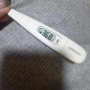 ヒメ日記 2026/03/06 11:57 投稿 リイサ(奥方) 奥様幕府