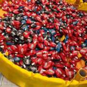 ヒメ日記 2026/02/07 09:25 投稿 ひろか 西川口こんにちわいふ（シンデレラグループ）