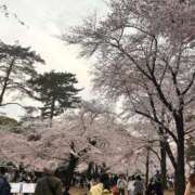 ヒメ日記 2026/04/15 10:05 投稿 ひろか 西川口こんにちわいふ（シンデレラグループ）