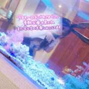 ヒメ日記 2024/12/08 00:18 投稿 もみじ 西船人妻花壇