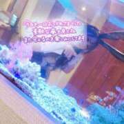 ヒメ日記 2024/12/10 23:16 投稿 もみじ 西船人妻花壇