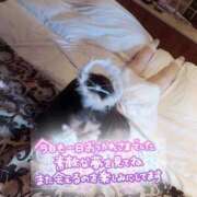 ヒメ日記 2025/01/15 21:53 投稿 もみじ 西船人妻花壇