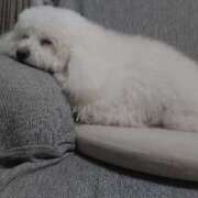 ヒメ日記 2025/02/08 22:15 投稿 もみじ 西船人妻花壇