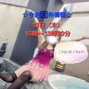 ヒメ日記 2025/02/11 19:57 投稿 もみじ 西船人妻花壇