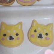 ヒメ日記 2025/02/14 18:49 投稿 もみじ 西船人妻花壇