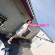 ヒメ日記 2025/04/20 11:27 投稿 もみじ 西船人妻花壇