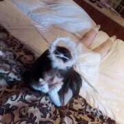 ヒメ日記 2025/04/29 22:08 投稿 もみじ 西船人妻花壇