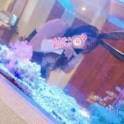 ヒメ日記 2025/05/02 21:44 投稿 もみじ 西船人妻花壇